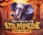 Ten Ton Ways Stampede